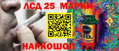 спайс Обь